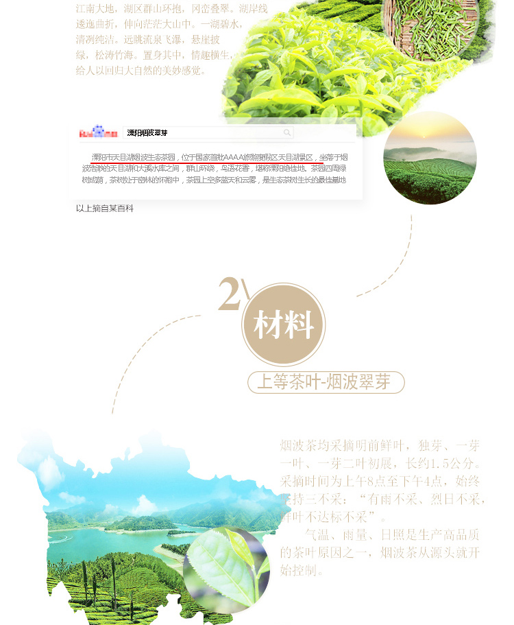 绿茶_07.jpg