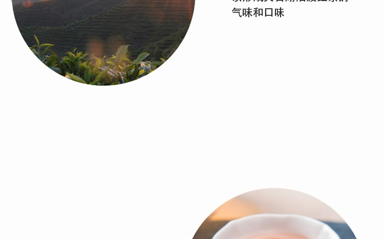 红茶_05.jpg