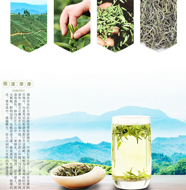 绿茶_02.jpg