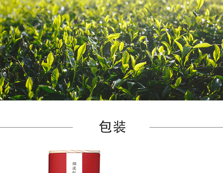 红茶_12.jpg