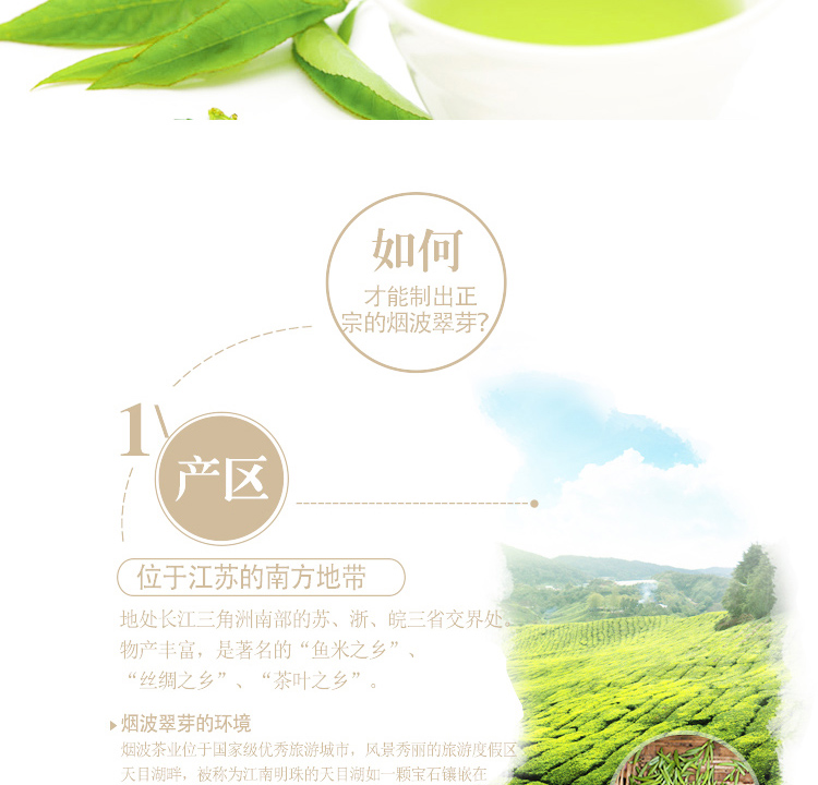 绿茶_06.jpg